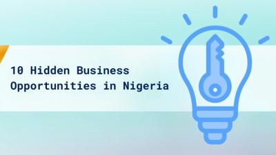 10 Hidden Business Opportunities in Nigeria