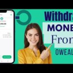 A Complete Guide to Using Opay Owealth