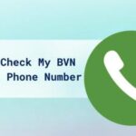 How to Check My BVN Without Phone Number