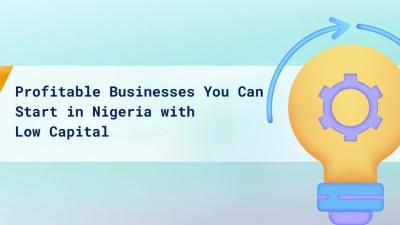 Profitable low-capital businesses in Nigeria
