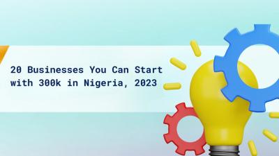 Top 20 Business Ideas to Start in Nigeria with 300k